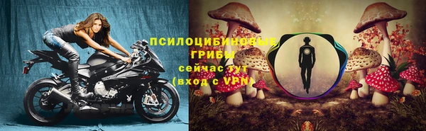 героин Алзамай