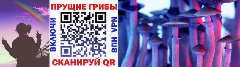 Псилоцибиновые грибы GOLDEN TEACHER  Изобильный 